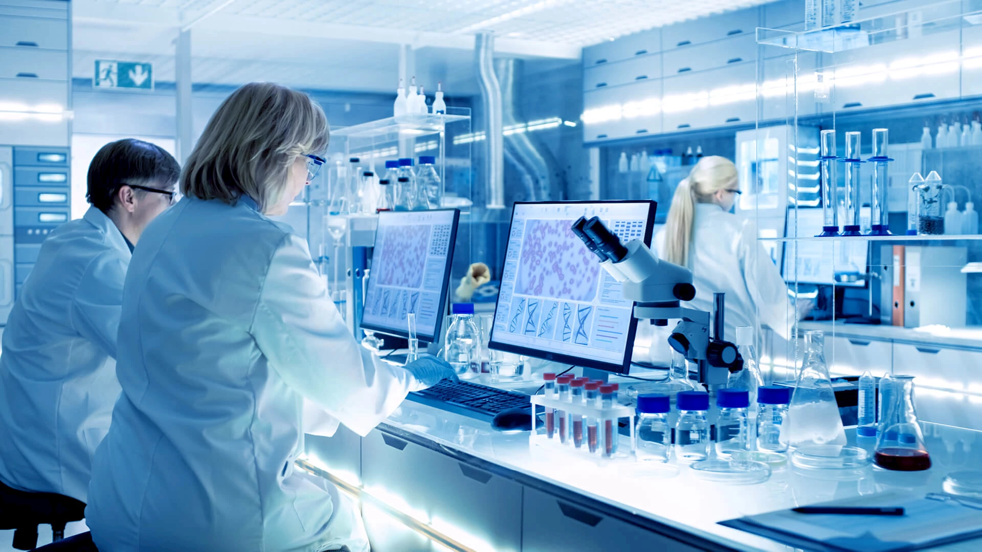 Technical Assurance Lamex Technical Assurance Lamex