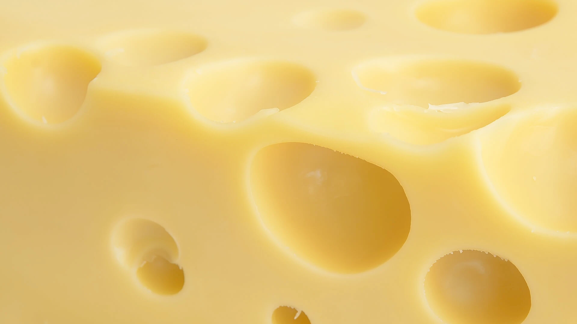 Dairy